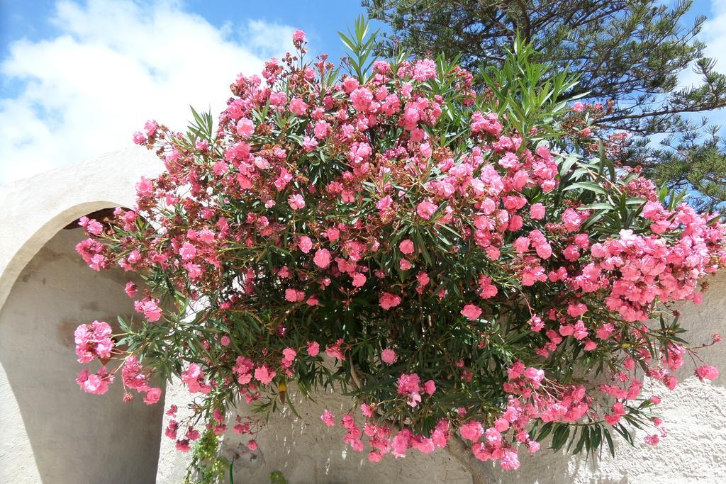 Baglio Bellavista Bed & Breakfast Torre Nubia Bagian luar foto